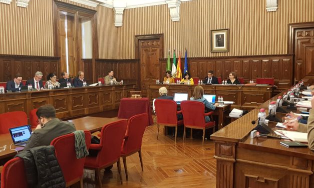 Diputación contará con un presupuesto de 317 millones de euros en 2023, de los que más de 72 serán para inversiones